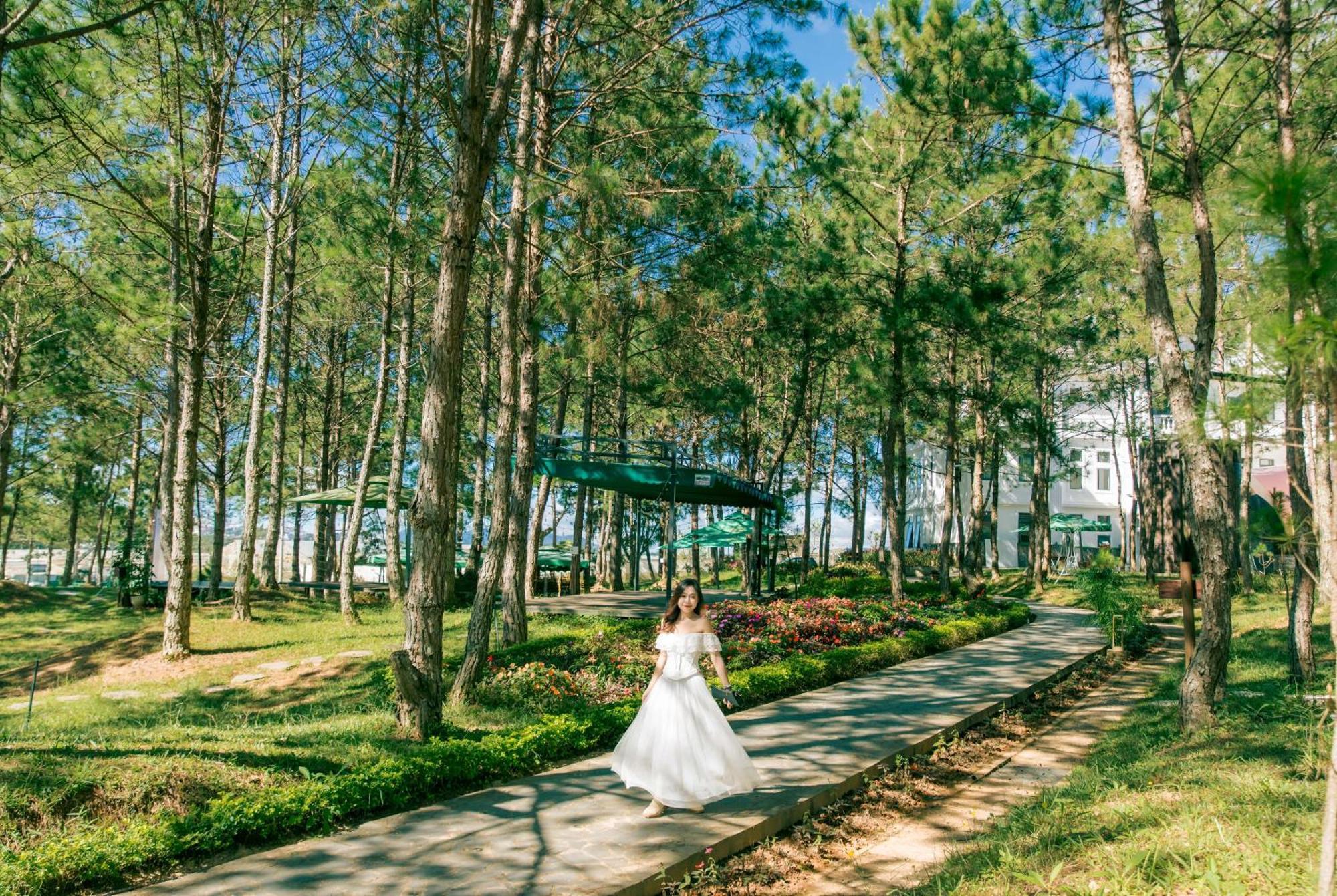 Kim Resort - Khu Nghi Duong Rung La Kim Da Lat Exterior foto